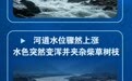 遭遇山体滑坡如何自救　这些灾害前兆一定要掌握