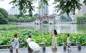 宜春：雨润荷香惹人醉（图）