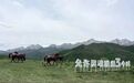 期末旅行加载中：来武威　把暑假过成旷野冒险大片