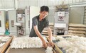 贵溪：小小竹荪撑起乡村振兴“致富伞”（图）
