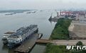 3.19万台汽车长沙“出海” 上半年长沙新港汽车滚装业务同比增长26.26%