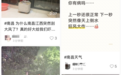 7月4日晚狂风暴雨突袭南昌 网友：突然像天上倒水一样