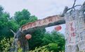 高温“出逃”！来甘肃泾川避暑