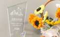 小咖咖啡“优秀合作商”，鹏力塑造凭实力再获客户认可