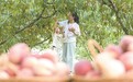 都昌县：果香四溢醉游人（图）