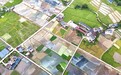 会昌县：田园“调色盘”（图）
