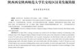 陕师大长安校区汉墓考古成果公布