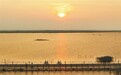 永修县吴城镇：“最美水上公路”景美如画（图）