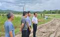 开平市大沙镇：聚贤才激活“沉睡地” 兴产业铺就富民路