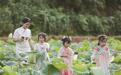 万年县：为“荷”而来（图）
