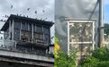 婺源一小区居民在楼顶搭建鸽棚饲养百余只鸽子，恶臭难闻！住户多次投诉无果