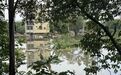 一方有难 八桂同心！灌阳县佛教界驰援抗洪救灾，首批物资送达贵港覃塘