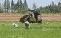 江西余干：抢抓农时插秧忙（图）