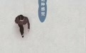总浑身没劲啥都不想干　真不是懒这几个信号得留意