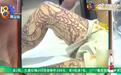 14岁男孩到文身店文成大花腿 家长气坏要求赔偿20万元