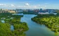 江西新余：城市公园风光如画（图）