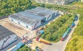 定南县：夏粮收购（图）