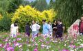 “夏”一站去哪　甘肃永昌这片生态花海藏不住了
