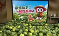 荣恒教育公益行，“以购代扶”助力瓜农增收