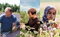欢迎来到 LUSH 草本花园，让大自然植物力量悉心呵护肌肤