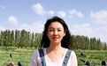 甘肃阿克塞戈壁西瓜大丰收　助农致富甜蜜上分