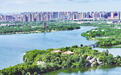南昌：湿地公园 夏日盛景（图）