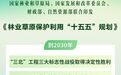 “十五五”林草保护利用规划发布
