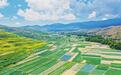 甘肃榆中扛起“北菜南运”重任　高原夏菜逆袭振兴