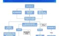 海口市2026年义务教育学校招生网上报名指引发布