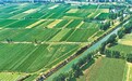 南阳市宛城区夏日田园画卷