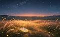 盐城文学院特稿|李华林：夏夜里