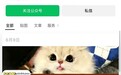 走进色彩萌宠，宠物赛道新玩法
