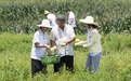 新余学院暑期实践团走进红山村，青春力量助力乡村振兴