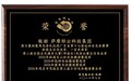 党建引领公益实践｜萨摩耶云助力霞马龙舟队征战省运会斩获佳绩