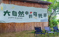 宿州市埇桥区：小鼹鼠“钻”出文旅新天地