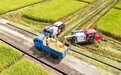 会昌县：农机作业忙“双抢”（图）