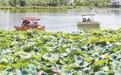 外地游客慕名打卡　白银湿地公园开启夏日限定浪漫