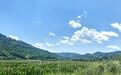 夏日田园“丰”景来　到甘肃崆峒泾水之畔纳凉去