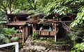 安徽省休宁县：山居避暑受热捧 多元业态激活乡村夏日文旅