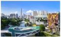 新洲河畔话世界：一场“行走的英语课”如何炼成社区“流量担当”？