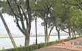 荒地变草坪 仓库变球场！南昌东湖区闲置资源“活”了，百姓生活“美”了