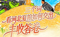 三个词，看河北夏粮如何交出丰收答卷