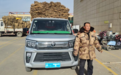 舒适贴心适合新手司机 祥菱V5气体机续航500km 长途转运不误工