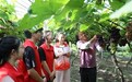 萍乡安源：青春助农，葡萄熟了（图）