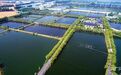 一粒珍珠激活塌陷地“转型密码”