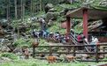 破局“流量难留”：江津四面山激活“高空心跳经济”撬动11.4亿沉浸式消费