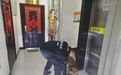 男子与妻子争吵后出走有轻生倾向　“汪汪队”搜救立功