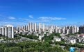 浔阳夏日：蓝天碧水映长虹（图）