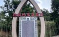 甘肃华亭“凉”辰美景正当时　游客直呼邂逅理想夏日