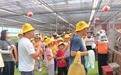 下地学农事，欢乐伴成长！西乡街道臣田社区亲子农场实践活动精彩来袭